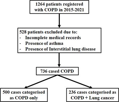 The clinical relevance of neutrophil-to-lymphocyte ratio and platelet-to-lymphocyte ratio in chronic obstructive pulmonary disease with lung cancer